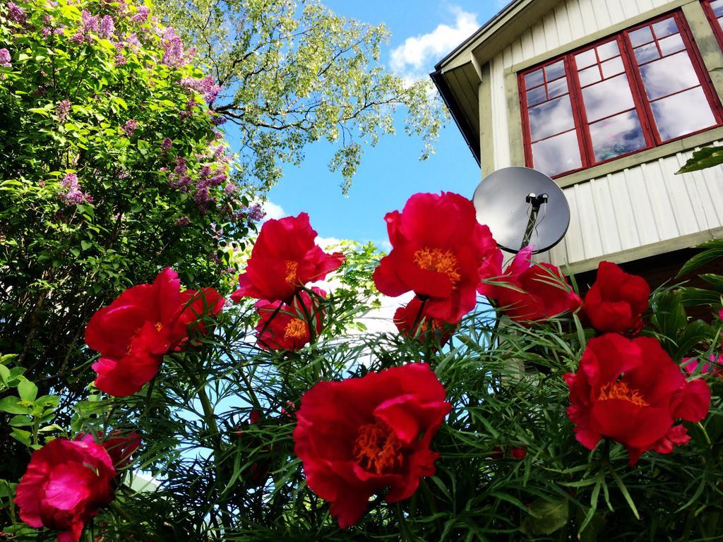 Sweden Slow Living Gosunda Dış mekan fotoğraf